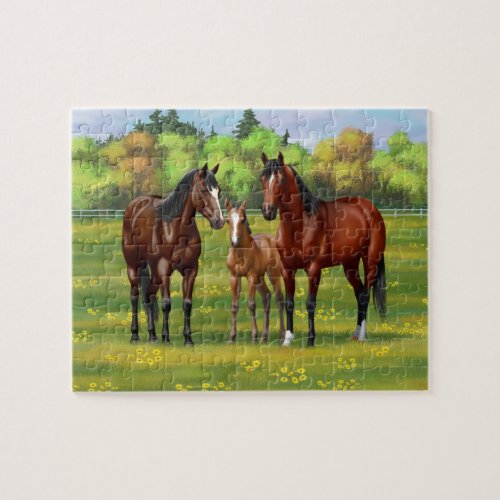 Brown Bay Quarter Horses In Summer Pasture Jigsaw Puzzle
