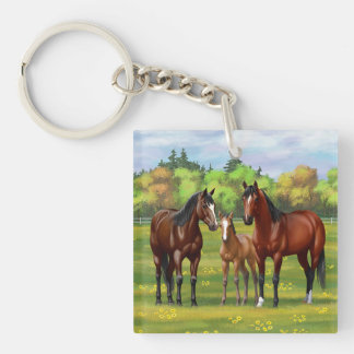 Brown Bay Quarter Horses In Summer Pasture Keychain