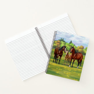 Brown Bay Quarter Horses In Summer Pasture Notebook