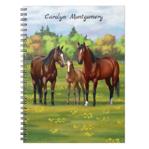 Brown Bay Quarter Horses In Summer Pasture Notebook