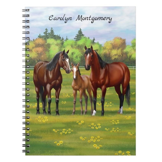 Brown Bay Quarter Horses In Summer Pasture Notebook (Front)