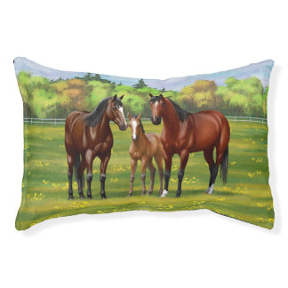 Brown Bay Quarter Horses In Summer Pasture Pet Bed