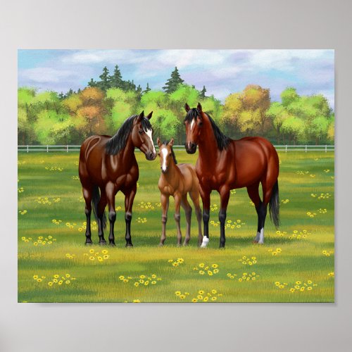 Brown Bay Quarter Horses In Summer Pasture Poster