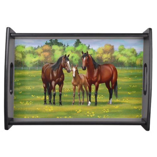 Brown Bay Quarter Horses In Summer Pasture Serving Tray