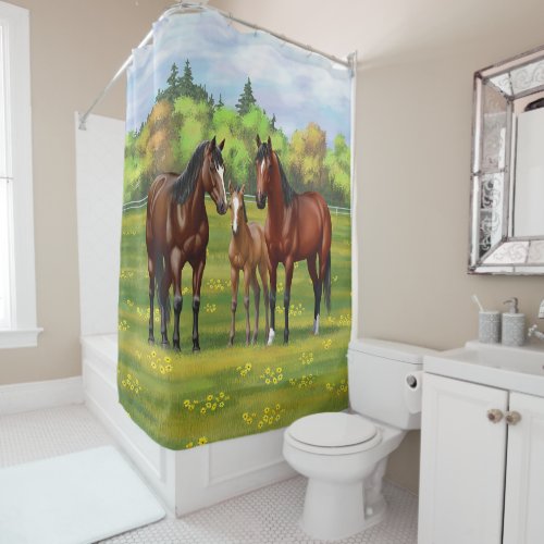 Brown Bay Quarter Horses In Summer Pasture Shower Curtain