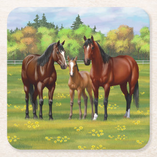 Brown Bay Quarter Horses In Summer Pasture Square Paper Coaster