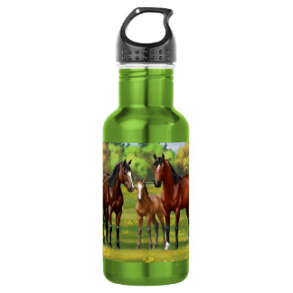 Brown Bay Quarter Horses In Summer Pasture Stainless Steel Water Bottle
