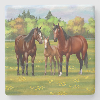 Brown Bay Quarter Horses In Summer Pasture Stone Coaster