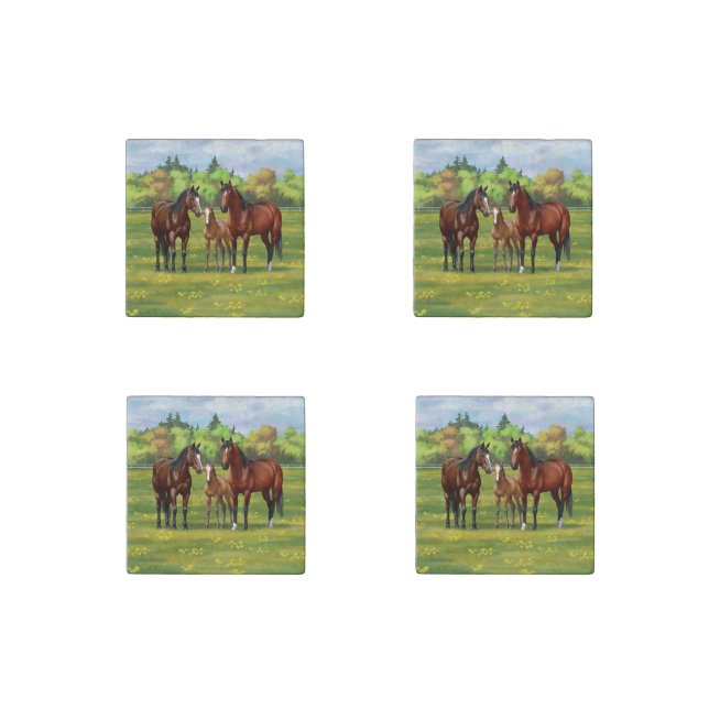 Brown Bay Quarter Horses In Summer Pasture Stone Magnet (Front)