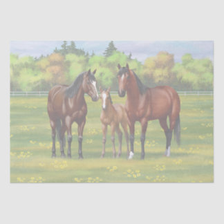 Brown Bay Quarter Horses In Summer Pasture Tissue Paper