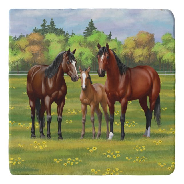 Brown Bay Quarter Horses In Summer Pasture Trivet (Front)