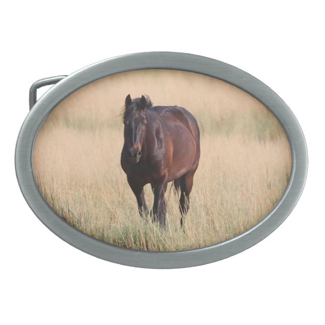 Brown Bay Wild Mustang Horse Belt Buckle (Front)