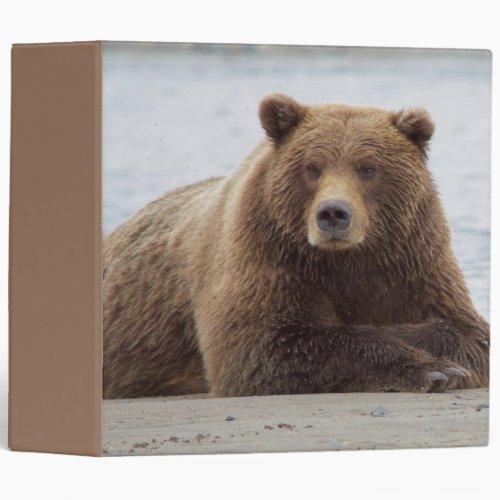 Brown Bear 3 Ring Binder