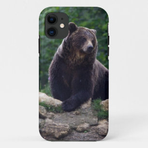 Brown bear iPhone 11 case