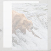 Brown Bear Catches Red Salmon (Front/Back)