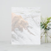 Brown Bear Catches Red Salmon (Standing Front)