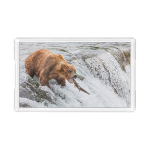 Brown Bear Catches Red Salmon Acrylic Tray