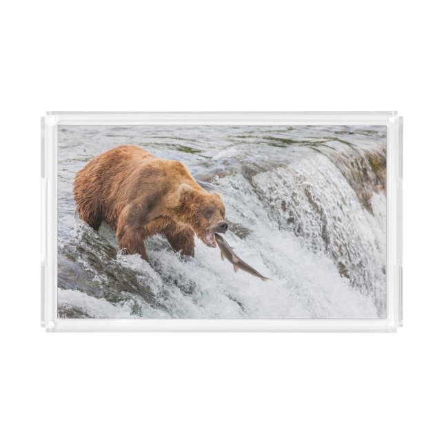 Brown Bear Catches Red Salmon Acrylic Tray (Front)