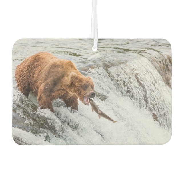 Brown Bear Catches Red Salmon Air Freshener (Front)