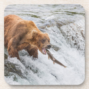 Brown Bear Catches Red Salmon Beverage Coaster