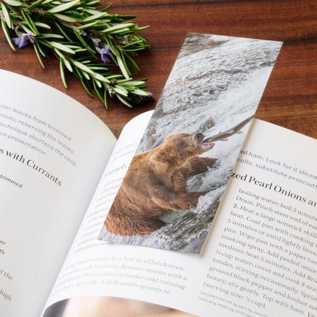 Brown Bear Catches Red Salmon Bookmarks (Book)