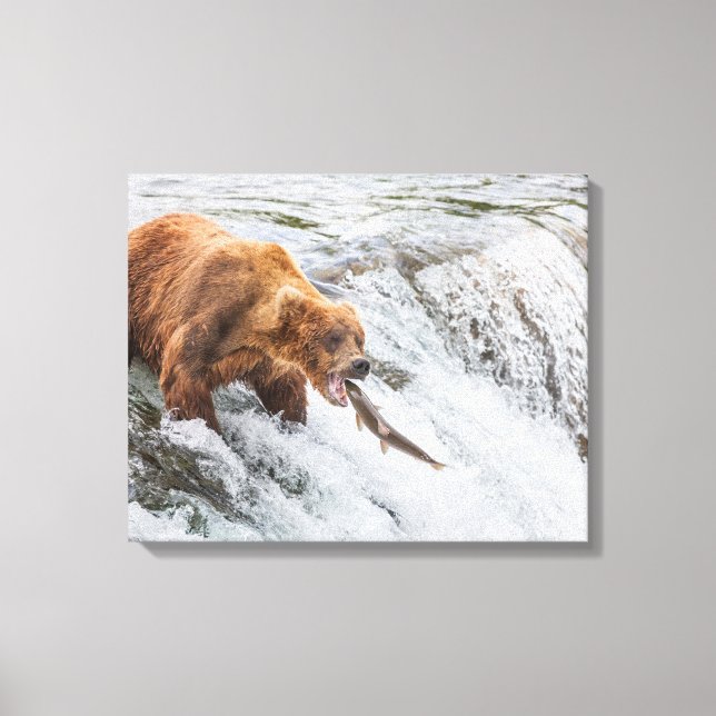 Brown Bear Catches Red Salmon Canvas Print (Front)