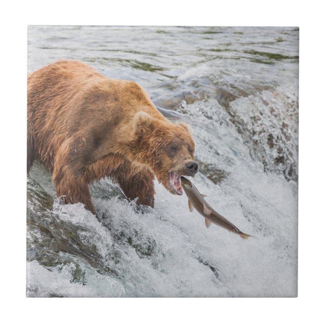 Brown Bear Catches Red Salmon Ceramic Tile (Front)