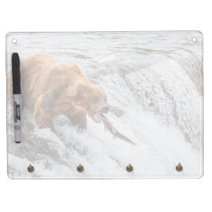 Brown Bear Catches Red Salmon Dry Erase Board With Keychain Holder