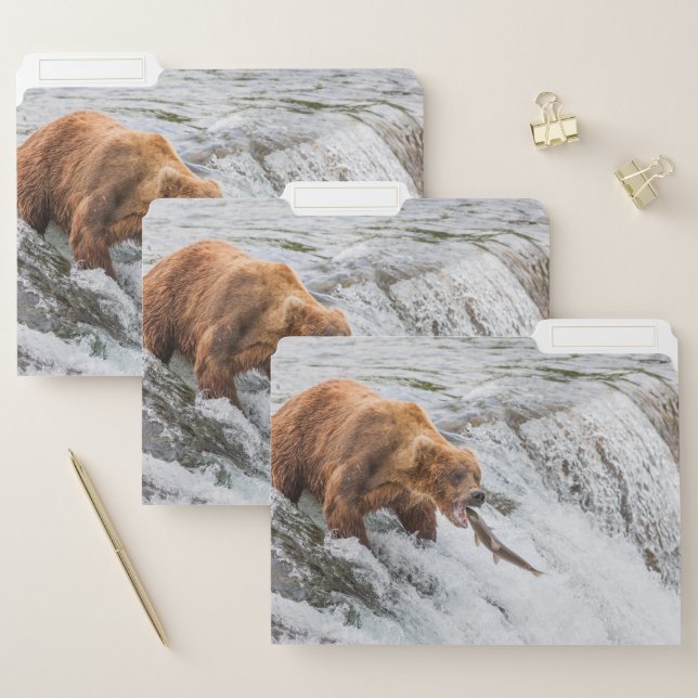 Brown Bear Catches Red Salmon File Folder (Set)