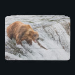 Brown Bear Catches Red Salmon iPad Mini Cover<br><div class="desc">Brown bears fish for red salmon at the falls of the Brooks River,  Katmai National Park,  southwest,  Alaska.</div>