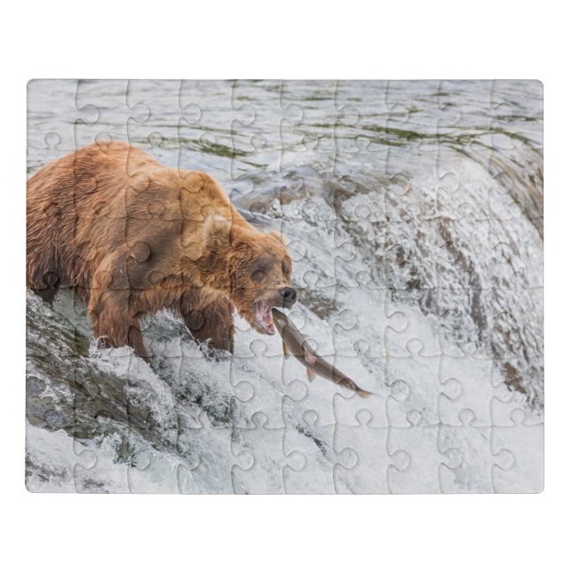 Brown Bear Catches Red Salmon Jigsaw Puzzle (Puzzle Horizontal)