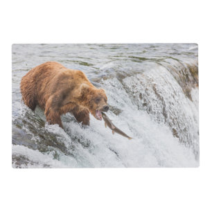 Brown Bear Catches Red Salmon Placemat