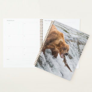 Brown Bear Catches Red Salmon Planner