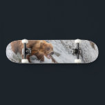 Brown Bear Catches Red Salmon Skateboard<br><div class="desc">Brown bears fish for red salmon at the falls of the Brooks River,  Katmai National Park,  southwest,  Alaska.</div>