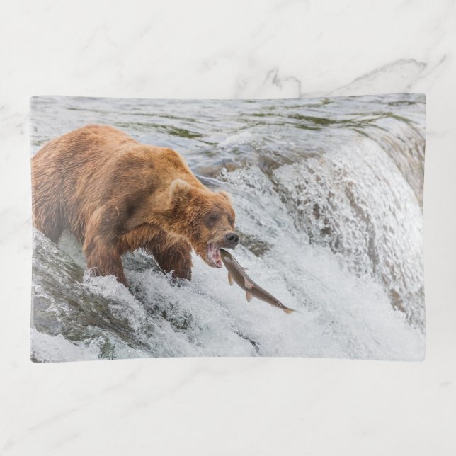 Brown Bear Catches Red Salmon Trinket Tray (Front)