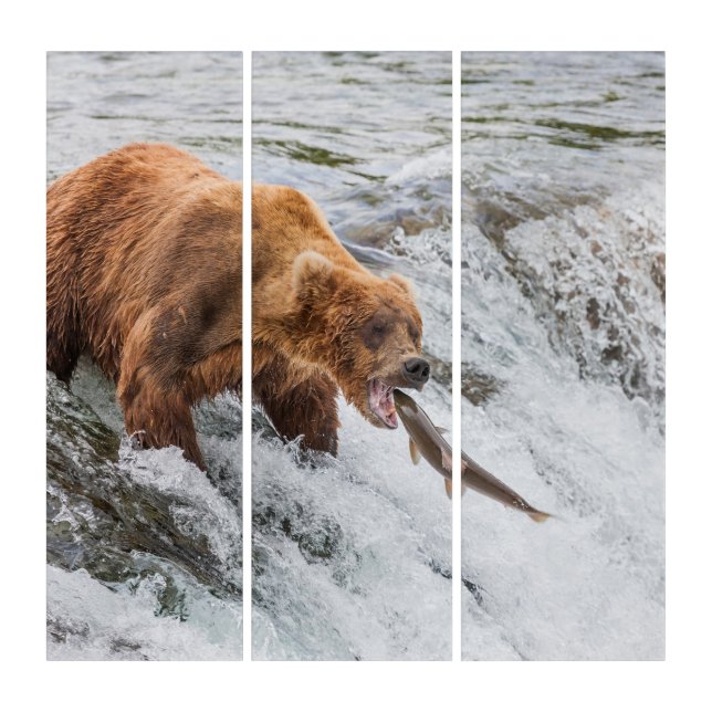 Brown Bear Catches Red Salmon Triptych (Front)