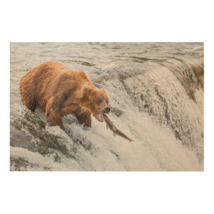 Brown Bear Catches Red Salmon Wood Wall Art
