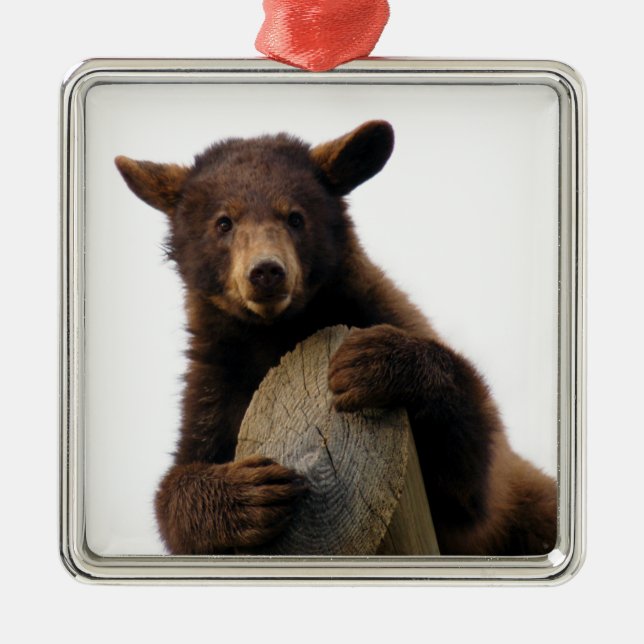 Brown Bear Christmas Ornament (Front)