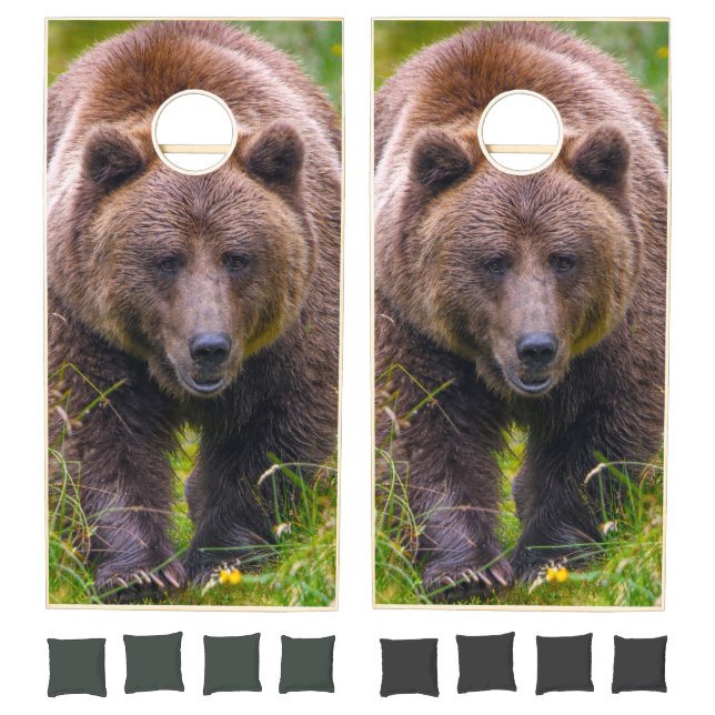 Brown Bear Cornhole Set (Set)