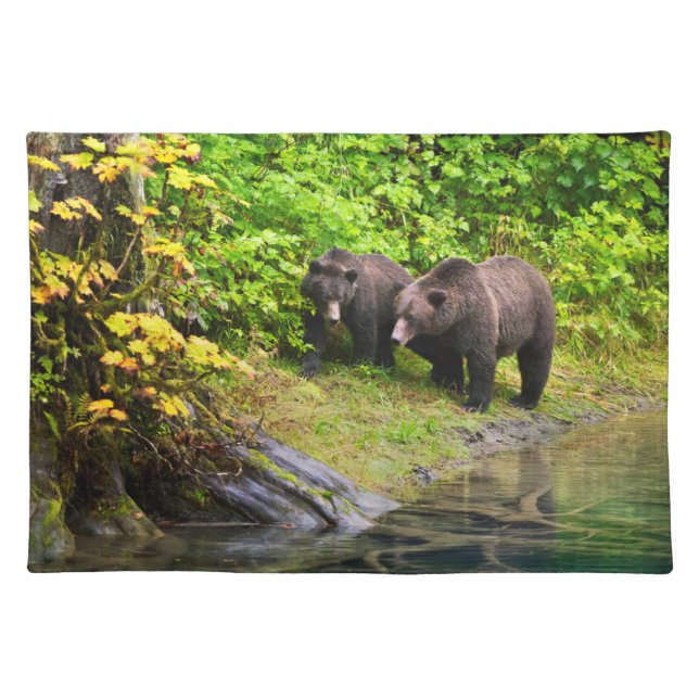 Brown Bear & Cub | Hyder, Alaska Cloth Placemat (Front)