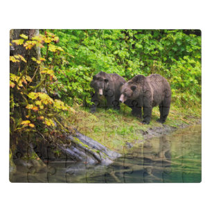 Brown Bear & Cub   Hyder, Alaska Jigsaw Puzzle