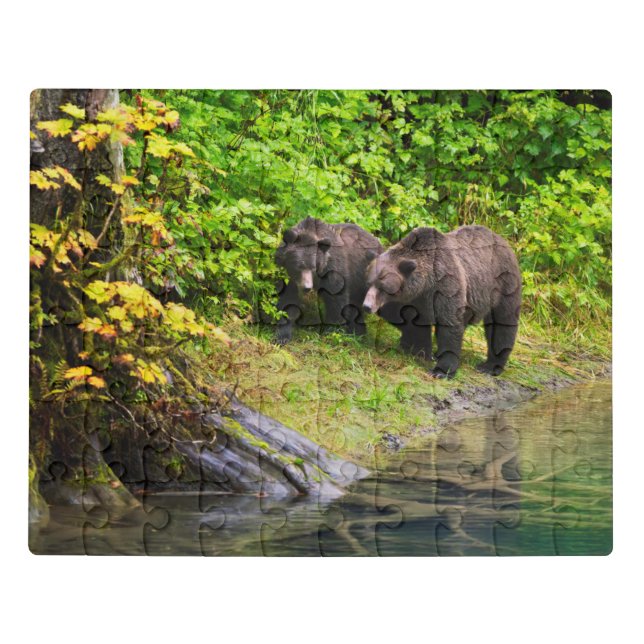 Brown Bear & Cub | Hyder, Alaska Jigsaw Puzzle (Puzzle Horizontal)