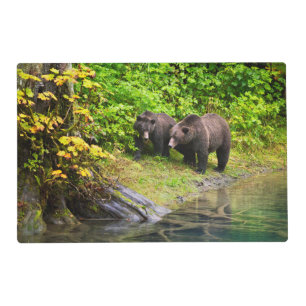 Brown Bear & Cub Hyder, Alaska Placemat