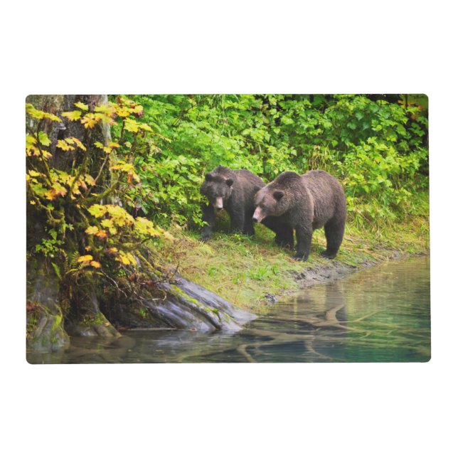 Brown Bear & Cub | Hyder, Alaska Placemat (Front)
