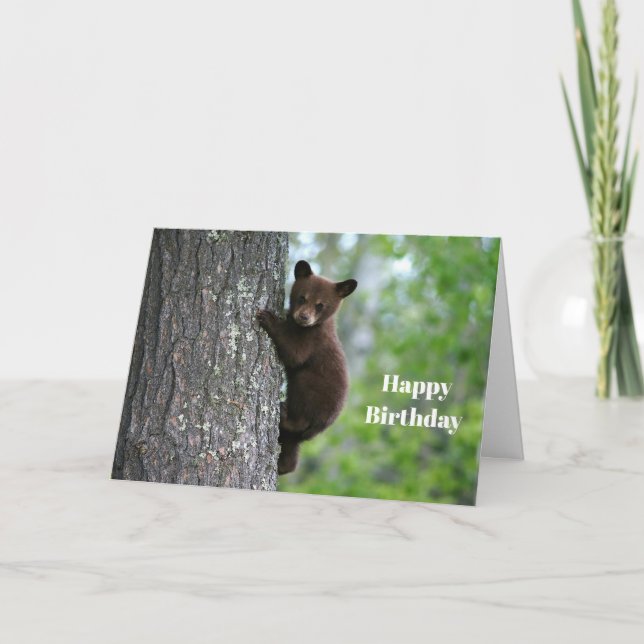 Brown Bear Cub Tree Photo Birthday Card (Front)