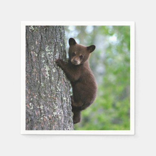 Brown Bear Cub Tree Photo Napkins