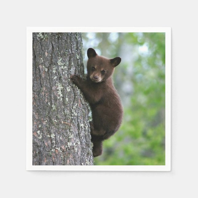 Brown Bear Cub Tree Photo Napkins (Front)