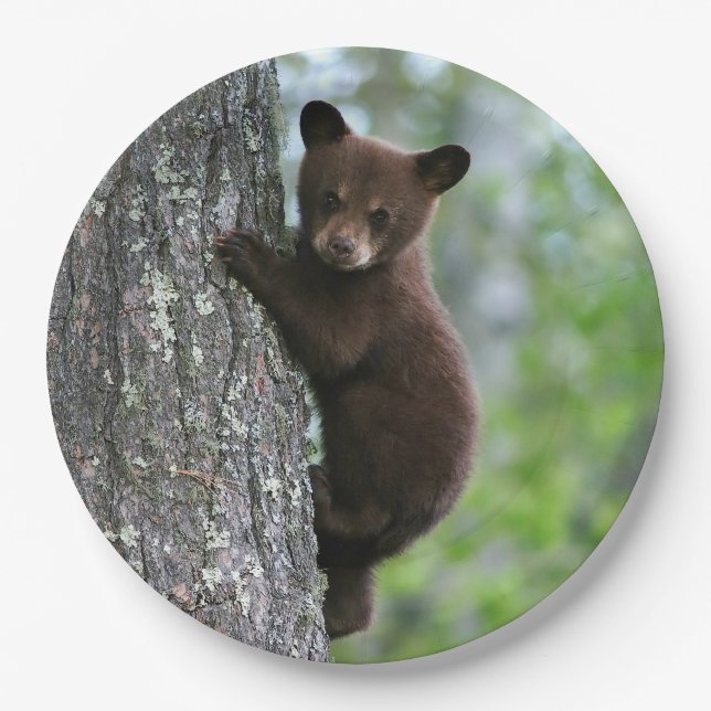 Brown Bear Cub Tree Photo Paper Plates (Front)