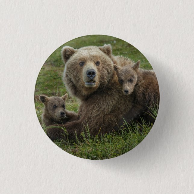 Brown Bear Cubs Cuddling with their Mother Button (Front)