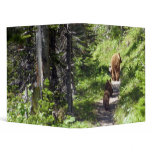 Brown Bear Family 3 Ring Binder